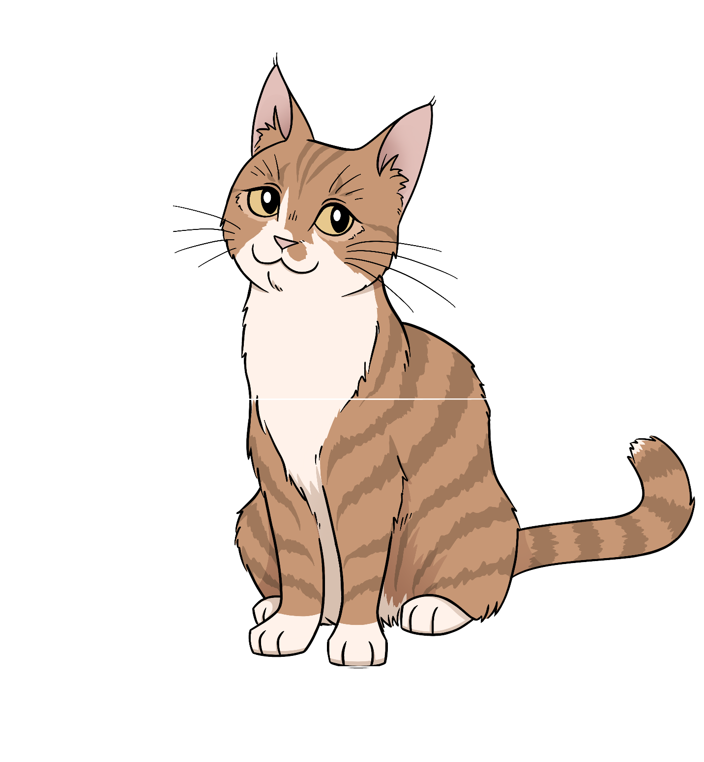 Example of half body and full body portrait of a cat.